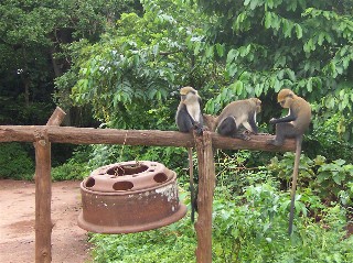 Welcoming Committee